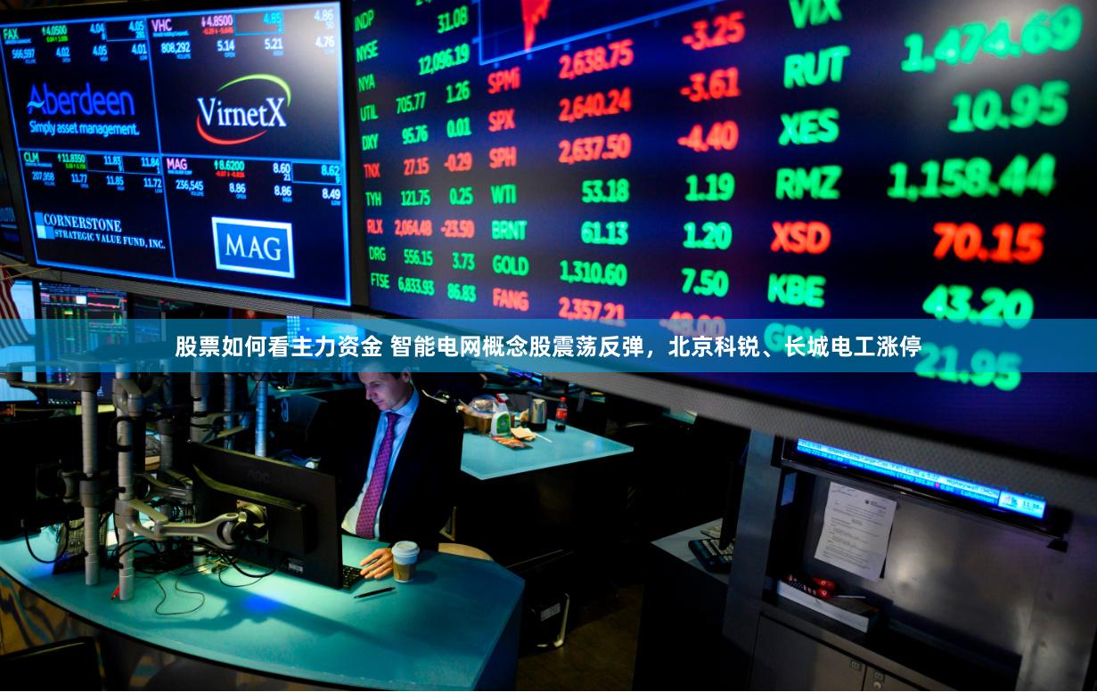 股票如何看主力资金 智能电网概念股震荡反弹,北京科锐、长城电工涨停