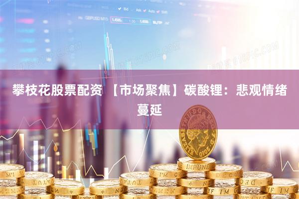 攀枝花股票配资 【市场聚焦】碳酸锂:悲观情绪蔓延