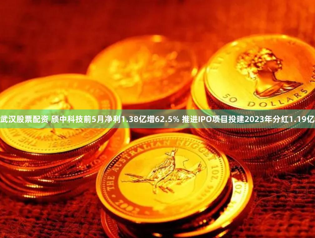 武汉股票配资 颀中科技前5月净利1.38亿增62.5% 推进IPO项目投建2023年分红1.19亿