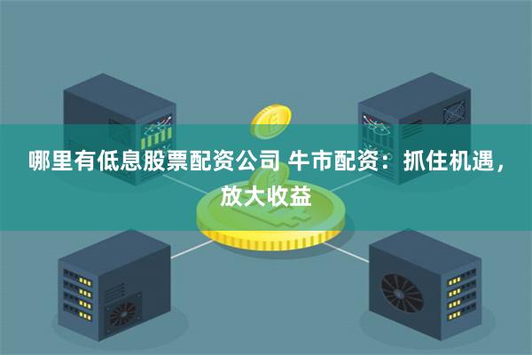 哪里有低息股票配资公司 牛市配资:抓住机遇,放大收益