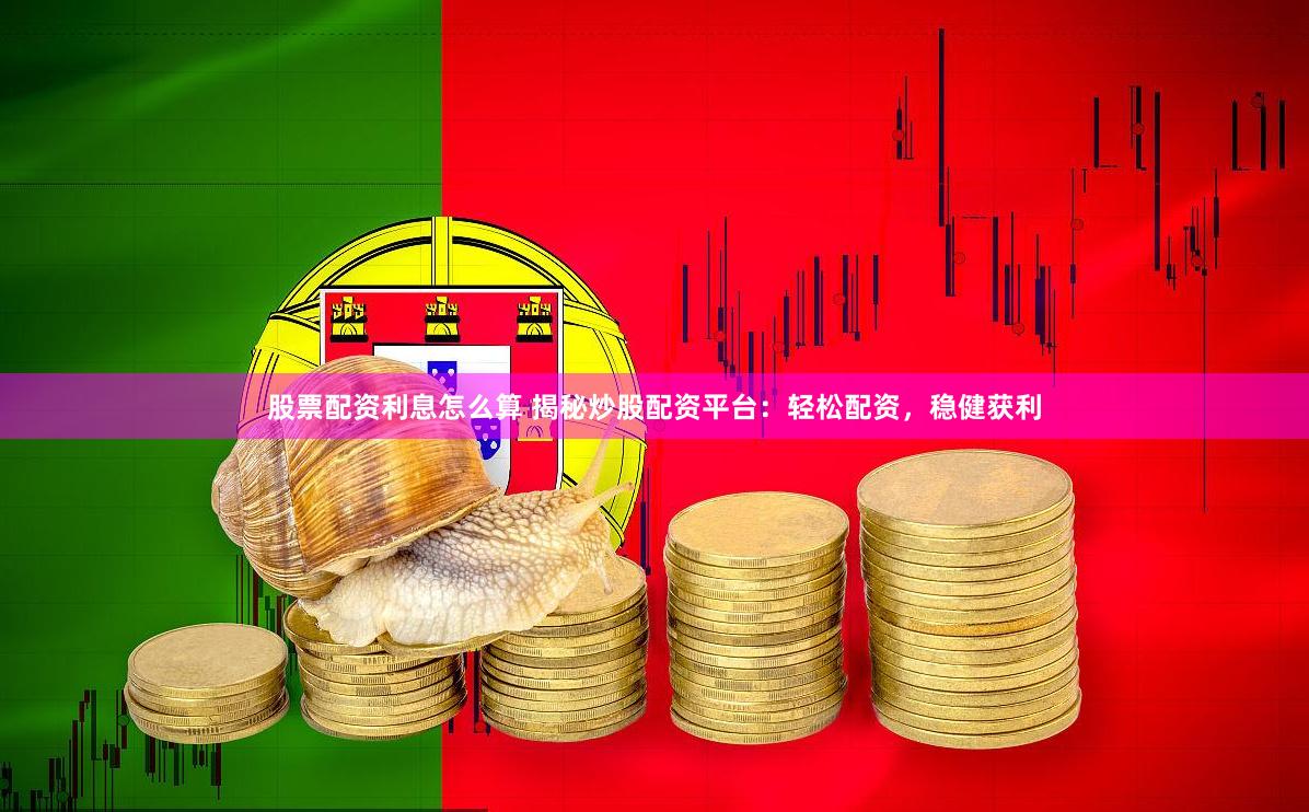 股票配资利息怎么算 揭秘炒股配资平台:轻松配资,稳健获利