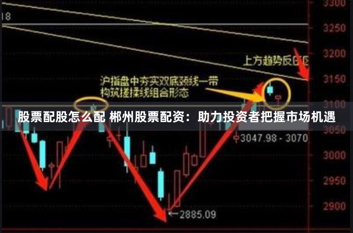 股票配股怎么配 郴州股票配资：助力投资者把握市场机遇