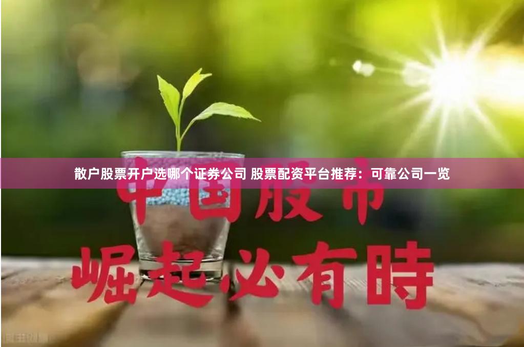 散户股票开户选哪个证券公司 股票配资平台推荐:可靠公司一览